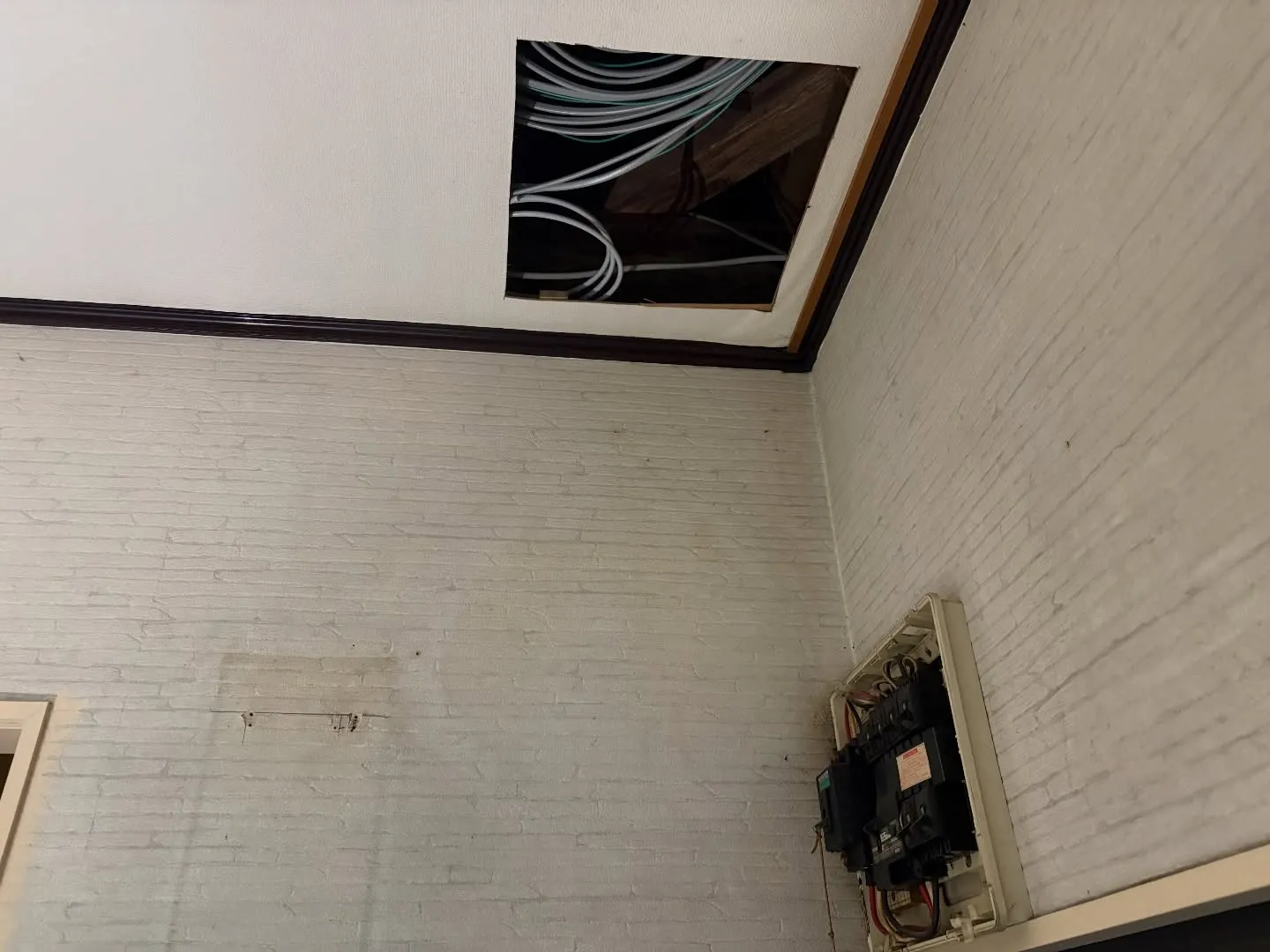 こんばんは!あっという間に今年も残りわずかですね。